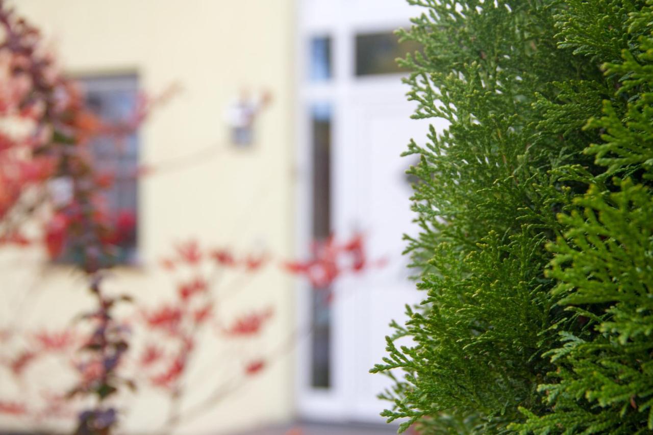 Ferienhaus Bogsi Mullrose Luaran gambar